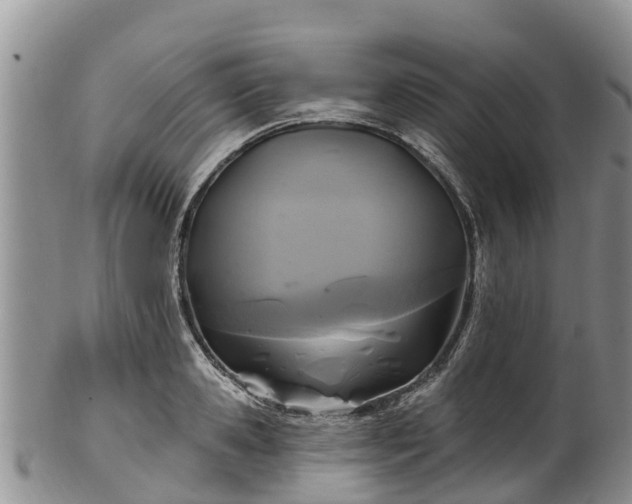 X0000102280941200808011447