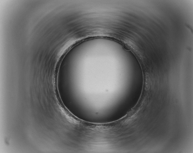 X0000102280942200808011447