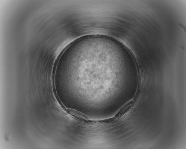 X0000102280943200808011447