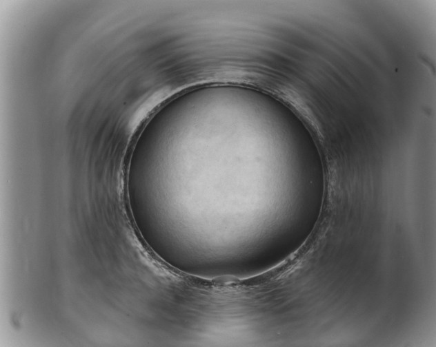 X0000102280944200808011447