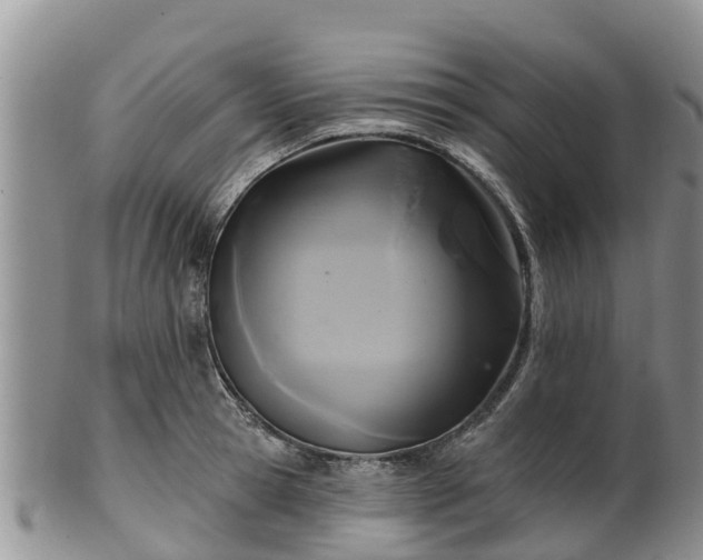 X0000102280945200808011447