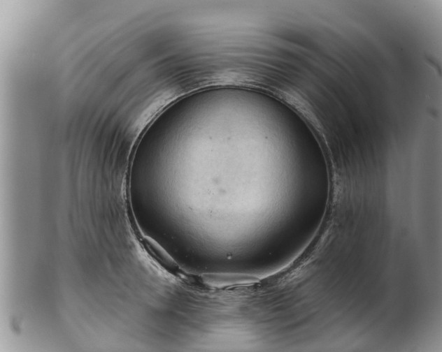 X0000102280946200808011447