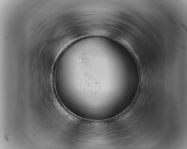 X0000102280947200808011447