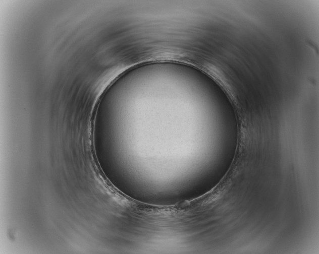 X0000102280948200808011447