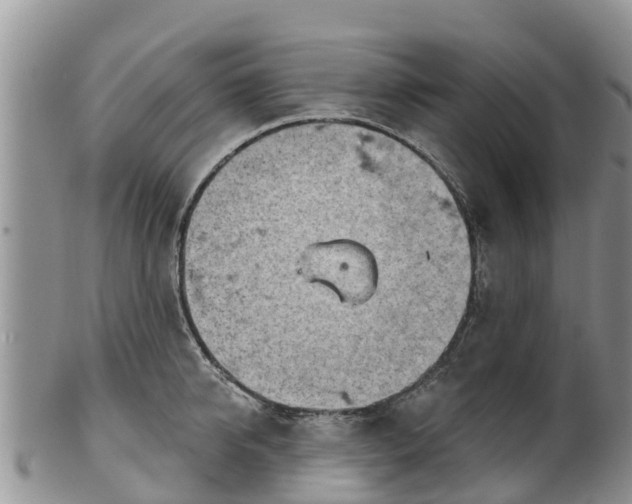 X0000102280950200808011447