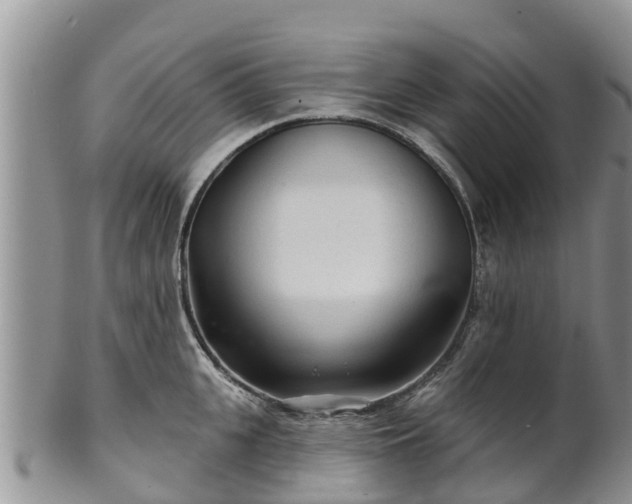 X0000102280951200808011447