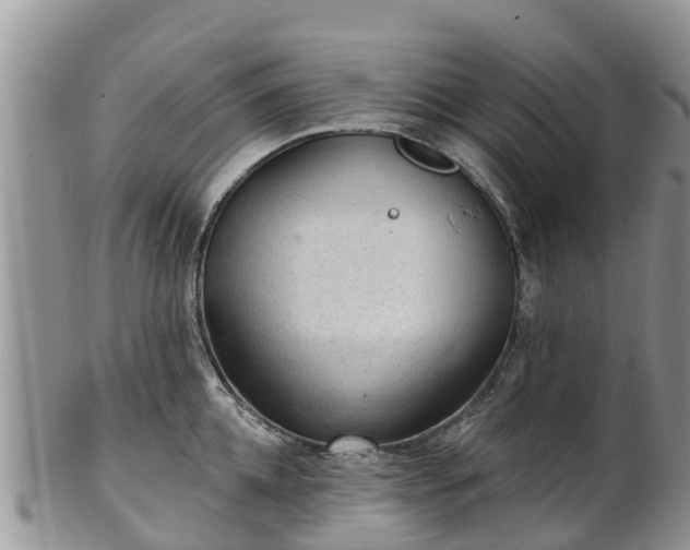 X0000102280952200808011447