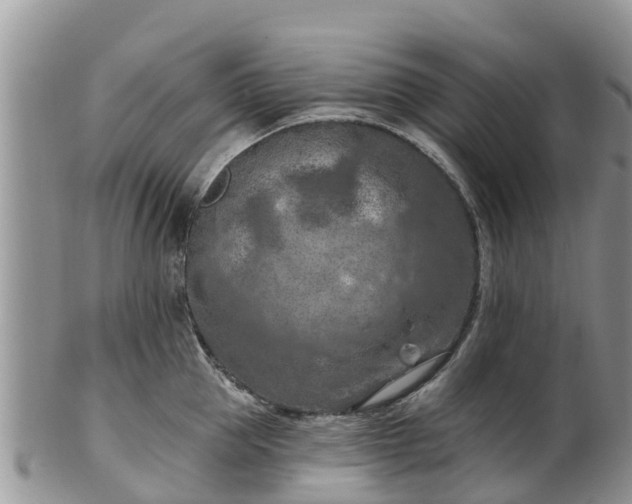 X0000102280953200808011447