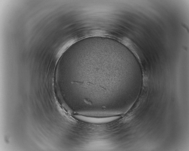 X0000102280954200808011447