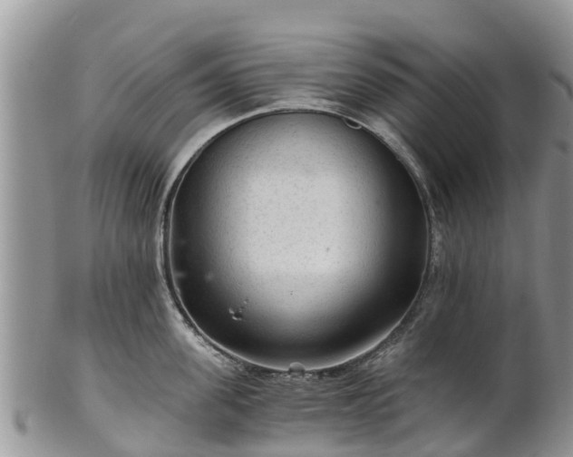 X0000102280955200808011447