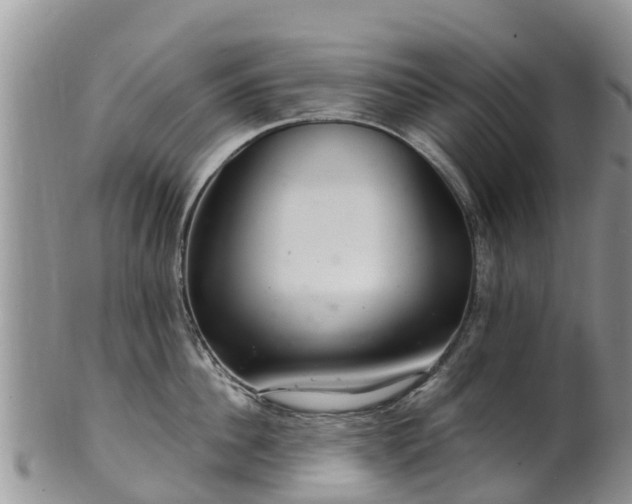 X0000102280956200808011447