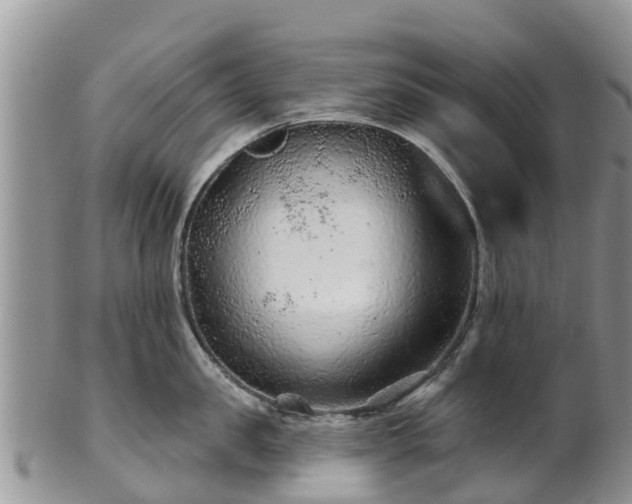 X0000102280957200808011447