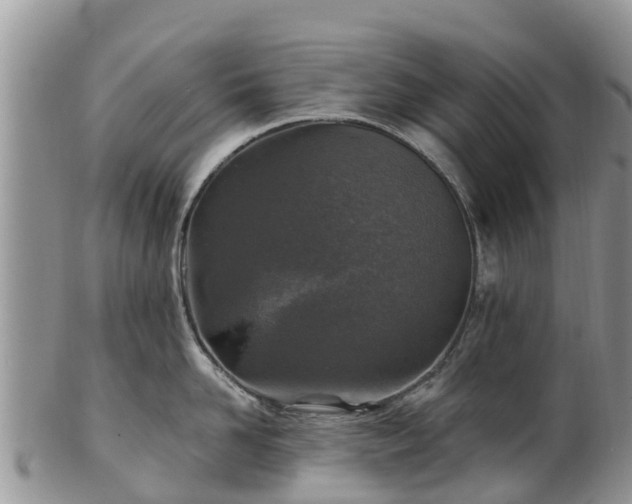 X0000102280958200808011447