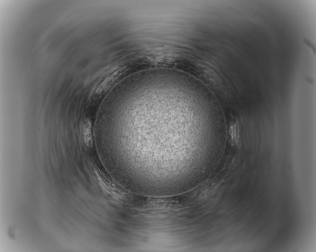 X0000102280963200808011446