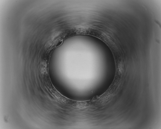 X0000102280964200808011446