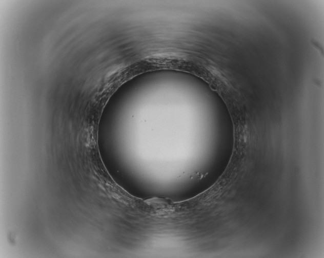 X0000102280965200808011446