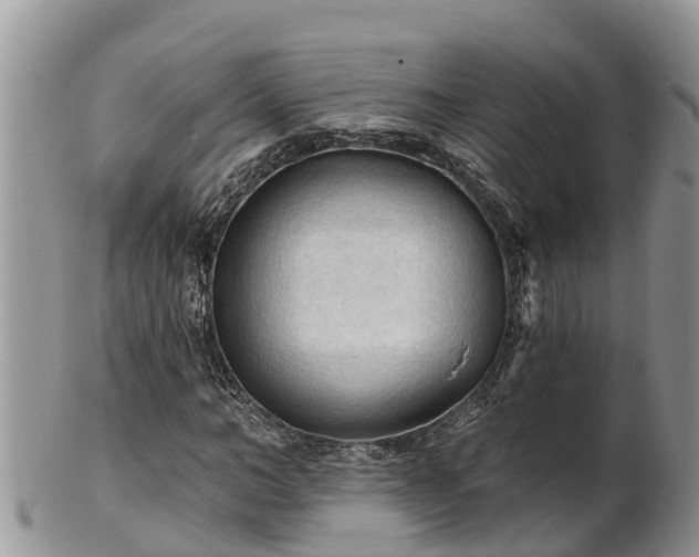 X0000102280966200808011446