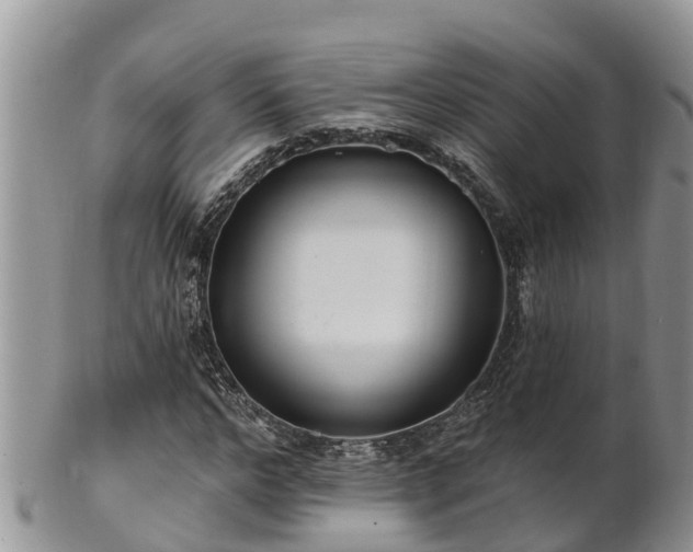 X0000102280968200808011446