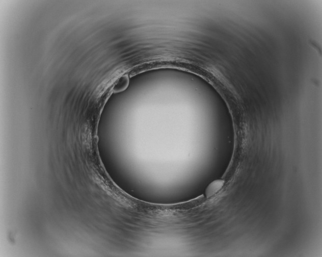 X0000102280969200808011446