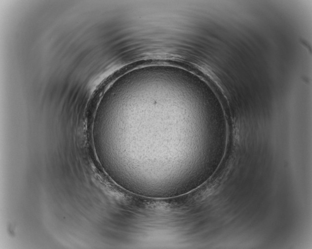 X0000102280971200808011446