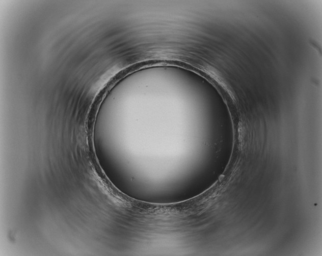 X0000102280972200808011446