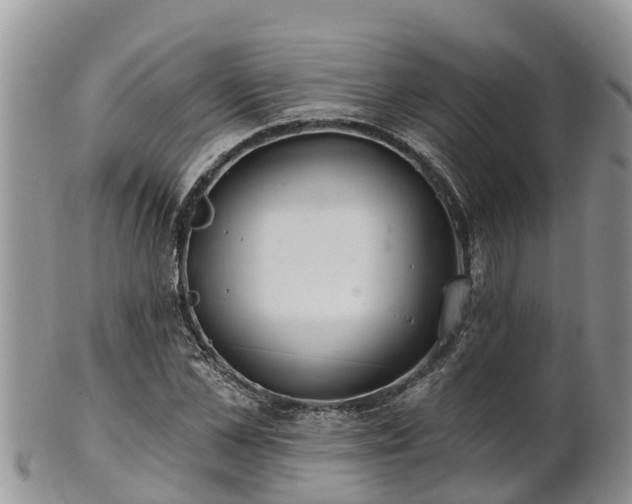 X0000102280973200808011446