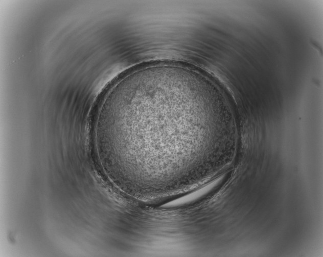 X0000102280975200808011446