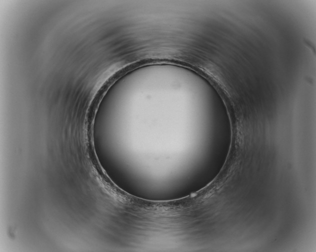 X0000102280976200808011446