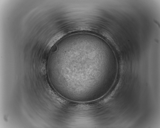 X0000102280977200808011446