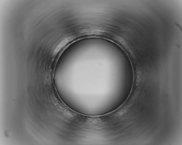 X0000102280978200808011446