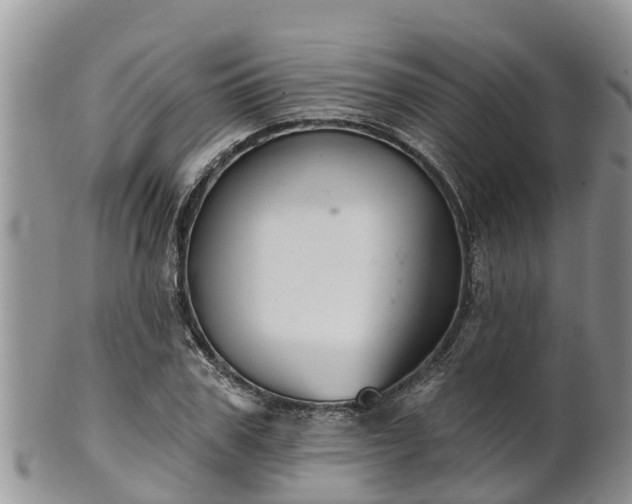 X0000102280979200808011446