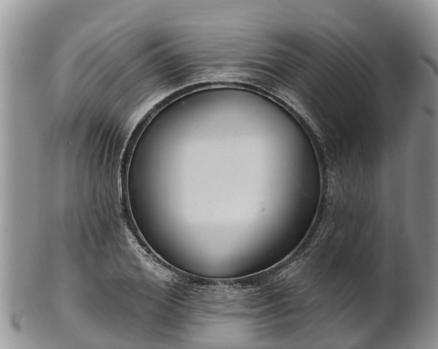 X0000102280980200808011446