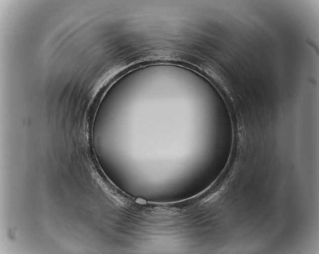 X0000102280981200808011446