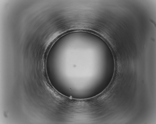 X0000102280982200808011446