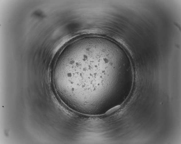 X0000102280983200808011446