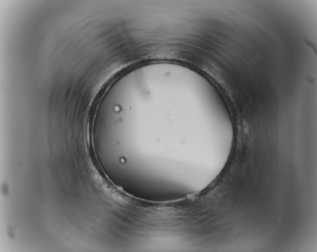 X0000102280984200808011446