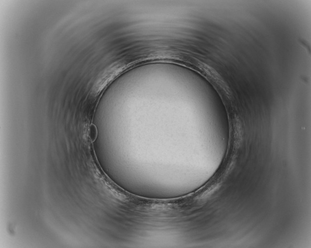 X0000102280985200808011446