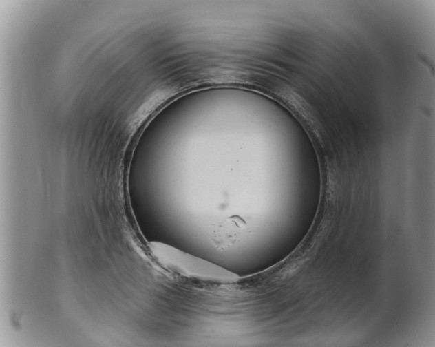 X0000102280986200808011446