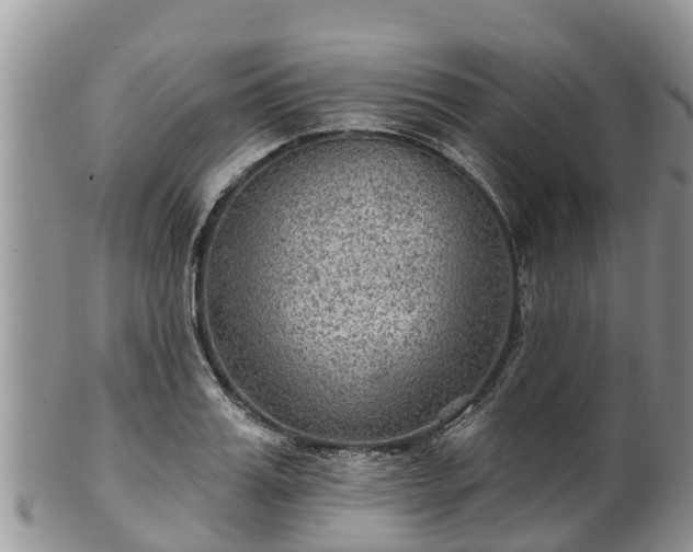 X0000102280987200808011446