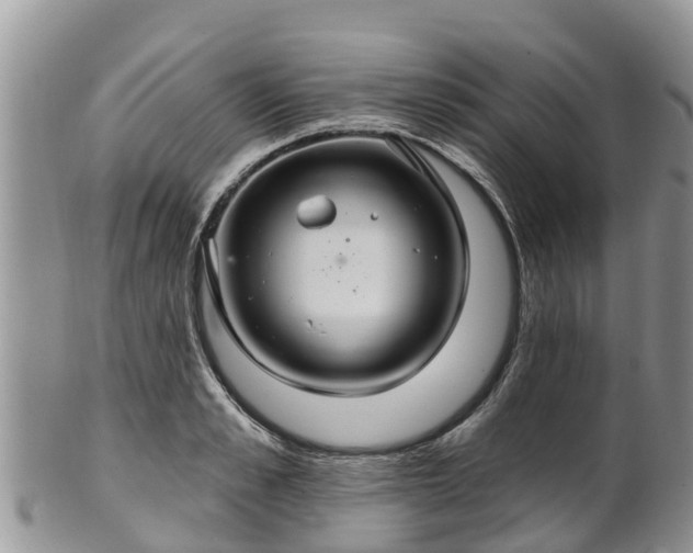 X0000102280989200808011446