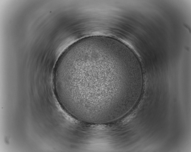 X0000102280991200808011446