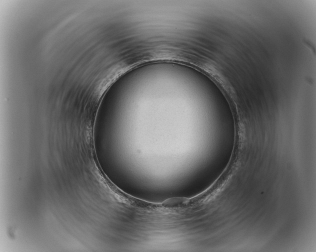 X0000102280993200808011446