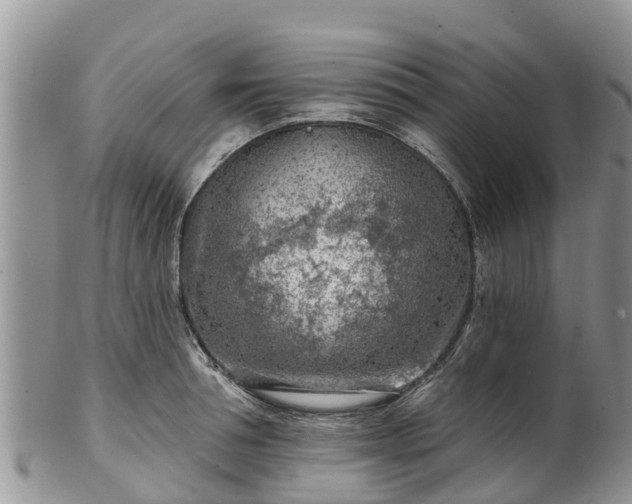 X0000102280994200808011446