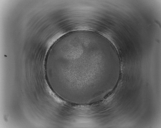 X0000102280995200808011446