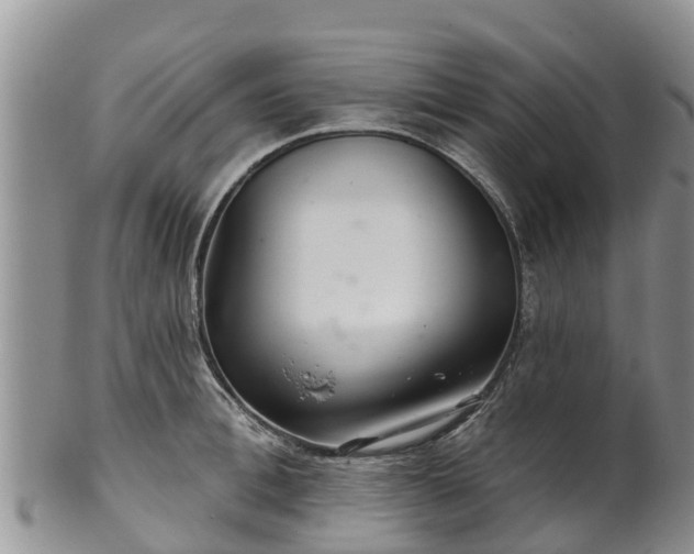 X0000102280996200808011446