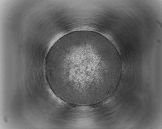 X0000102280998200808011446