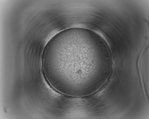 X0000102280999200808011446