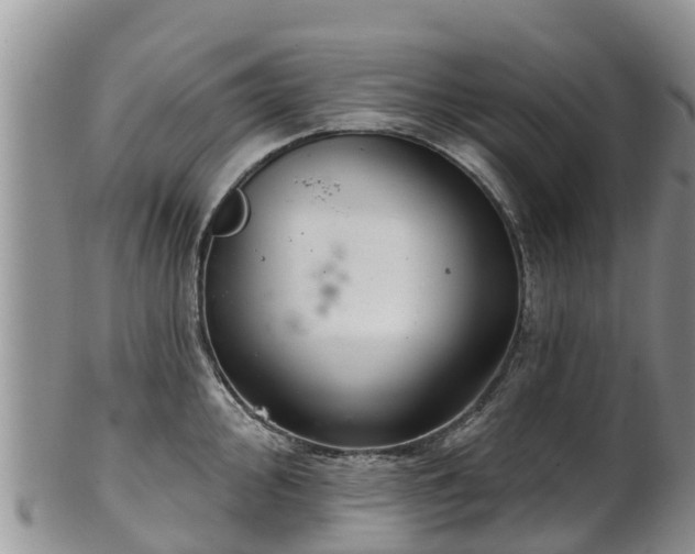 X0000102281000200808011446