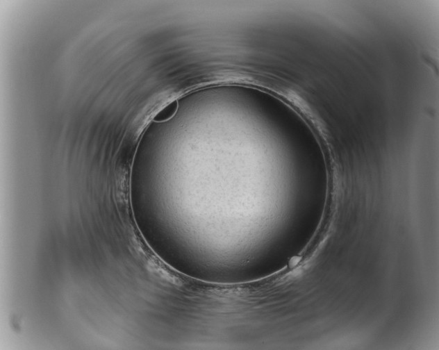 X0000102281001200808011446