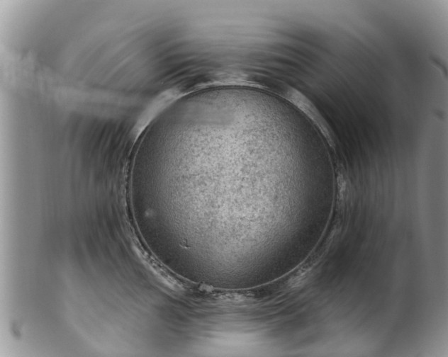 X0000102281002200808011446